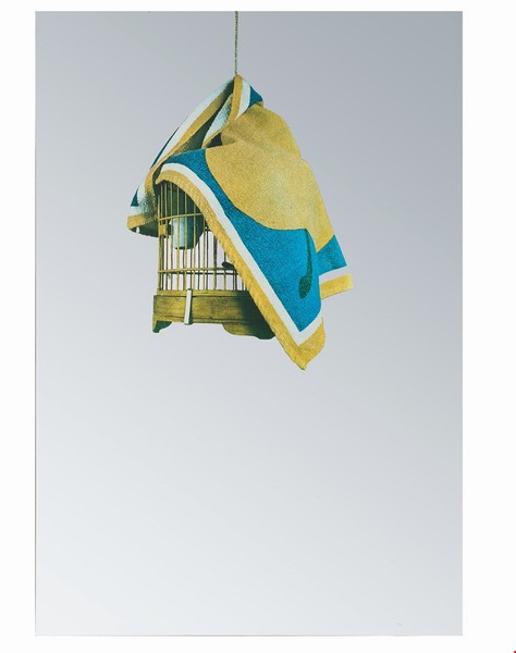 Michelangelo Pistoletto, Gabbia, 1970 | Aggiudicata a 12.500€