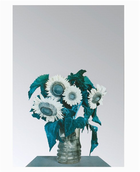 Michelangelo Pistoletto, Girasoli, 1970 | Aggiudicata a 11.875€